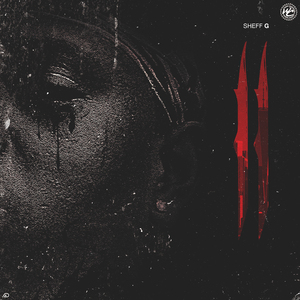 日本少妇裸体视频BCC
