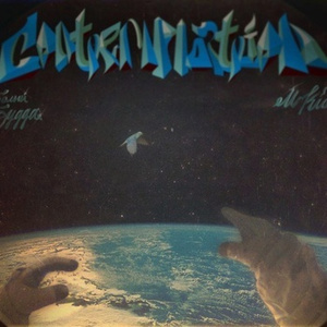 日本少妇裸体视频BCC
