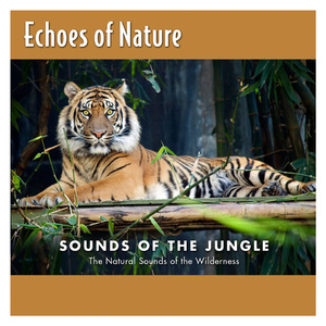 日本少妇裸体视频BCC
